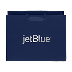 GIFT BAG - 13" W X 10" H X 5" D