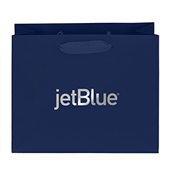 GIFT BAG - 10" W X 8" H X 4" D